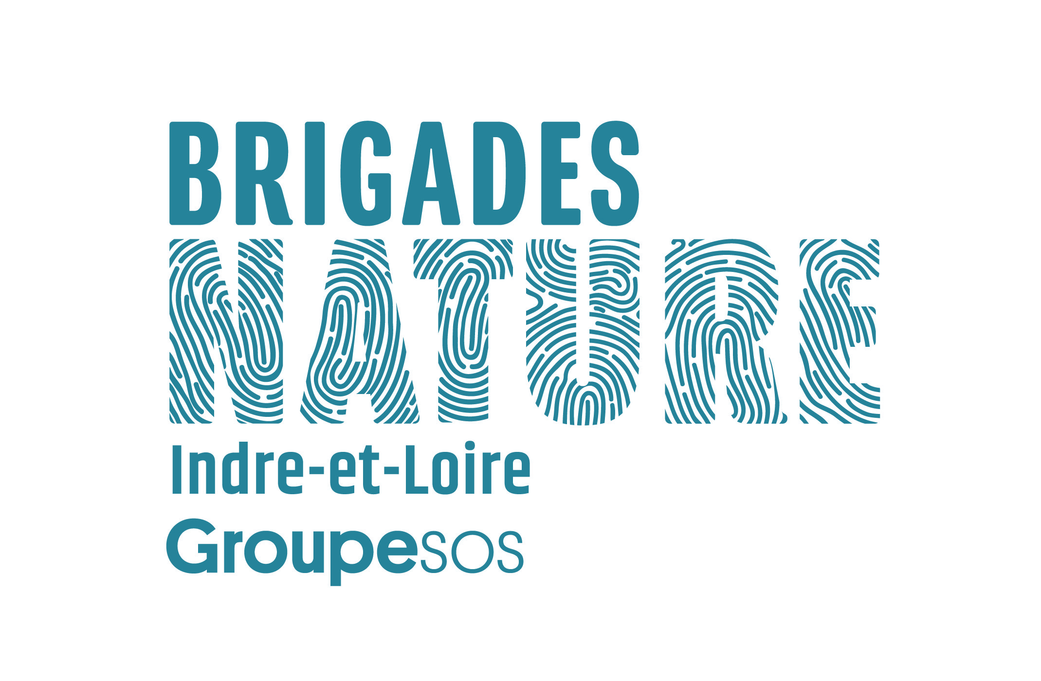 BRIGADES NATURE_LOGO_COUL_INTRE ET LOIRE