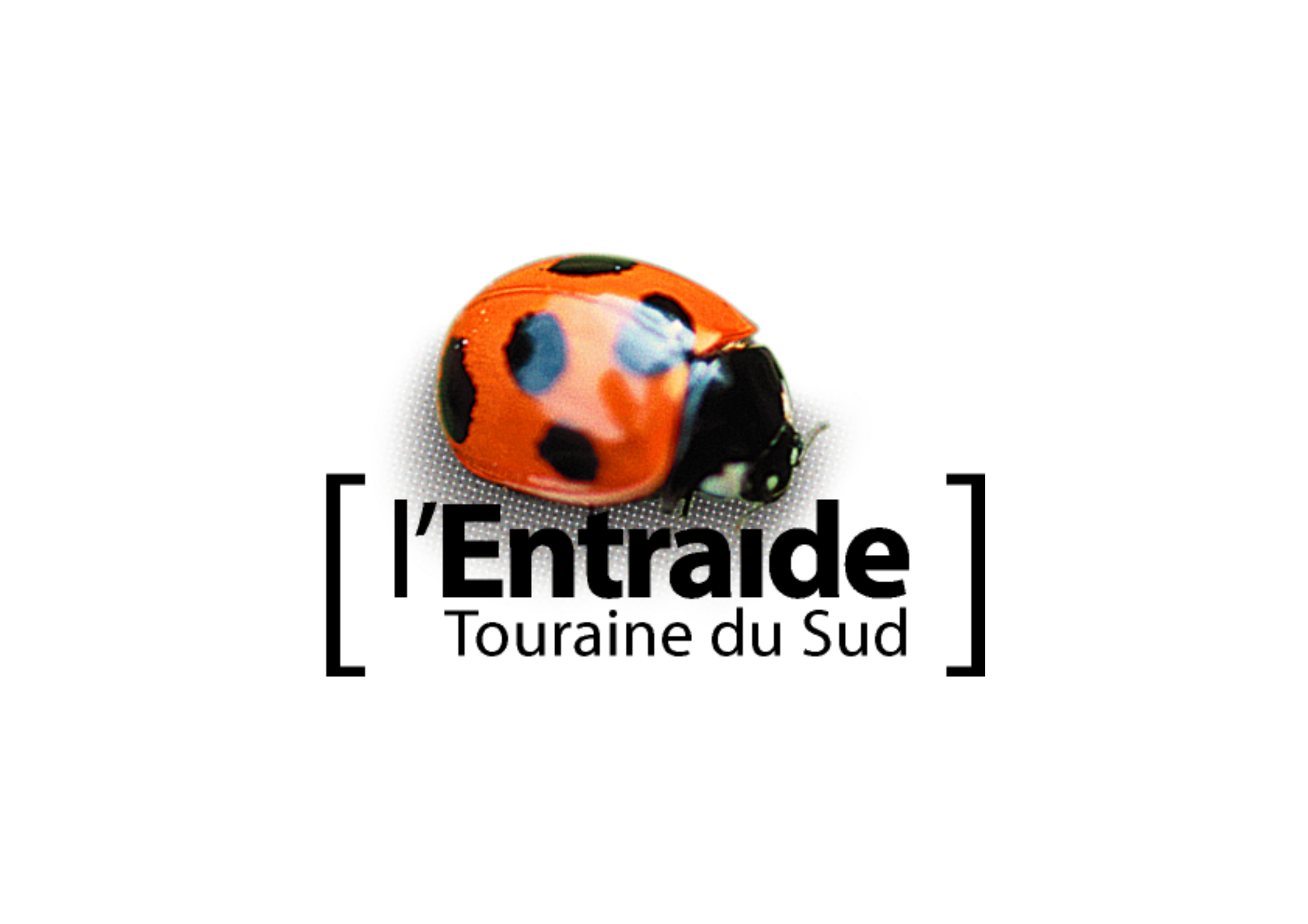 Logos Fond pour site (5)